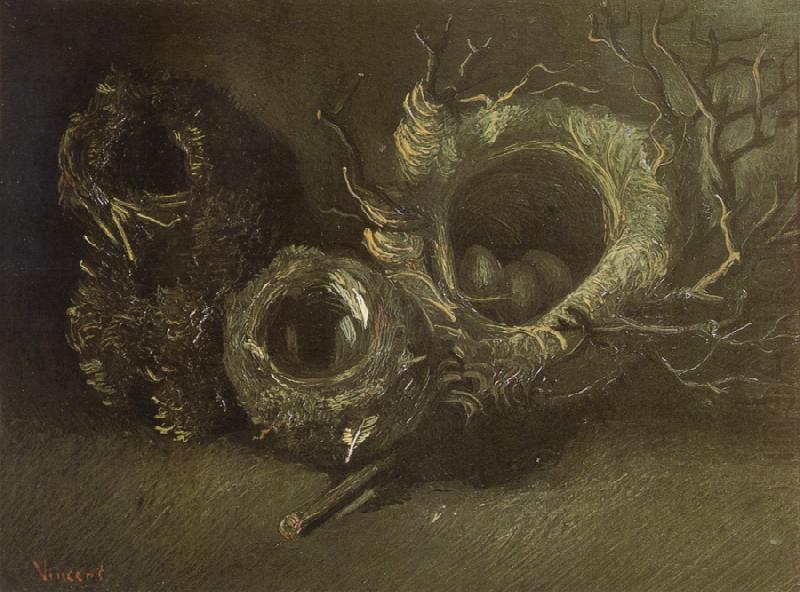 Still life wtih Three Birds'Nests (nn04), Vincent Van Gogh